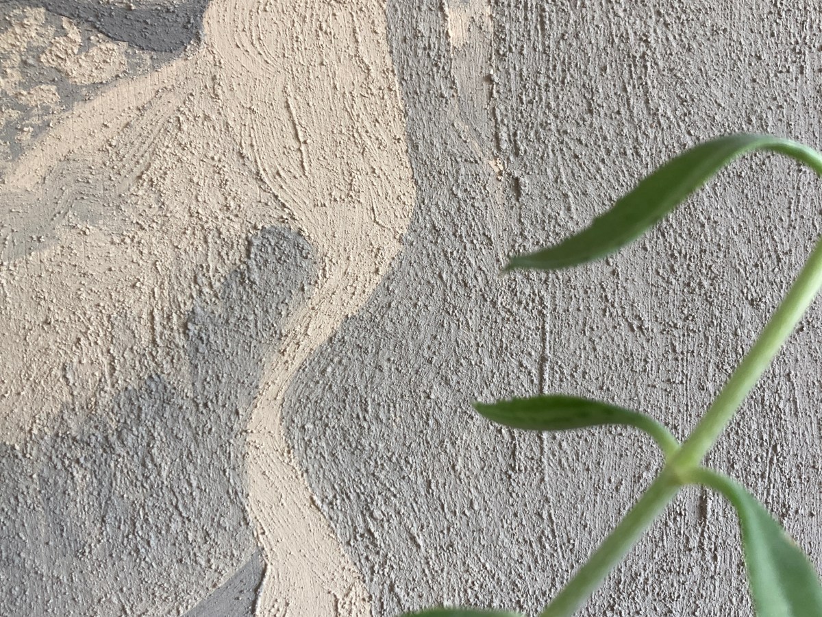 Painting Without Plastic